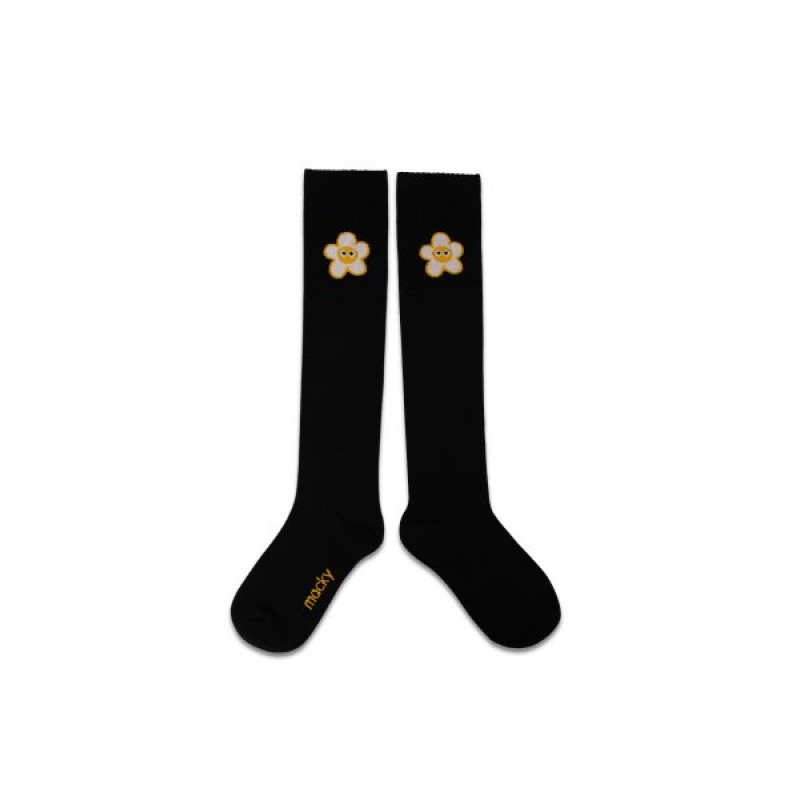 Knee-socks & point socks 4-piece set